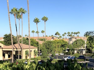 image of Park Vista