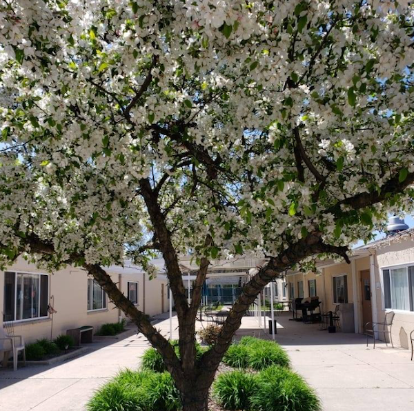 Cedar Woods Assisted Living Cedar Woods Assisted Living