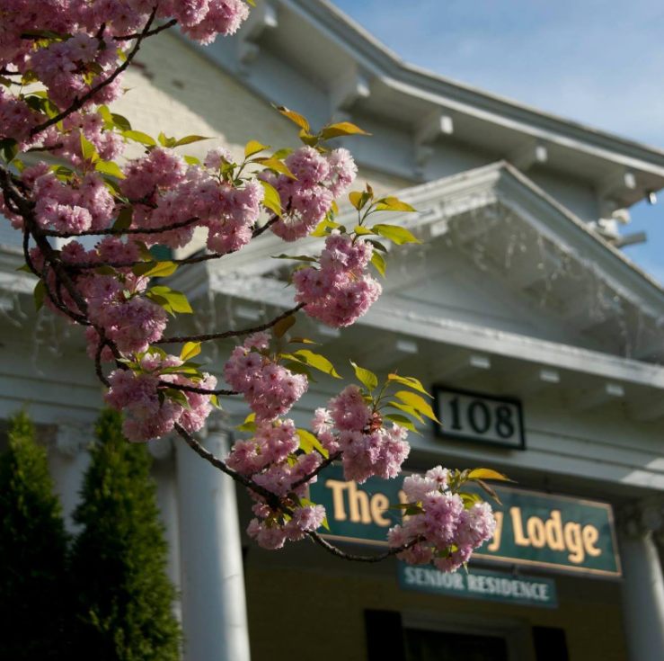 image of Ivy Lodge