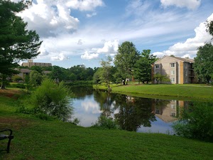 image of Brookdale Echelon Lake