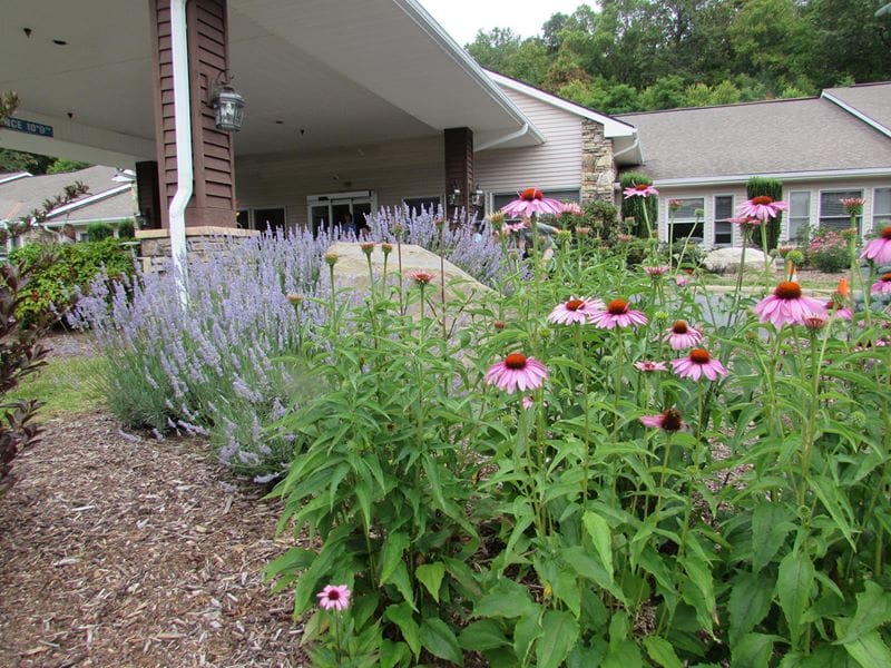 image of Heather Glen at Ardenwoods