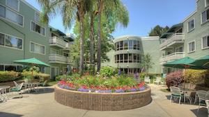 image of Palo Alto Commons