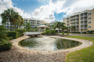 image of Regal Palms