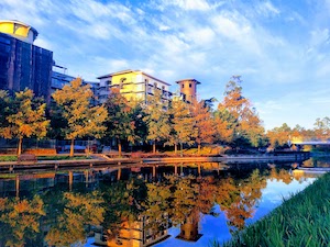 image of The Village at The Woodlands Waterway