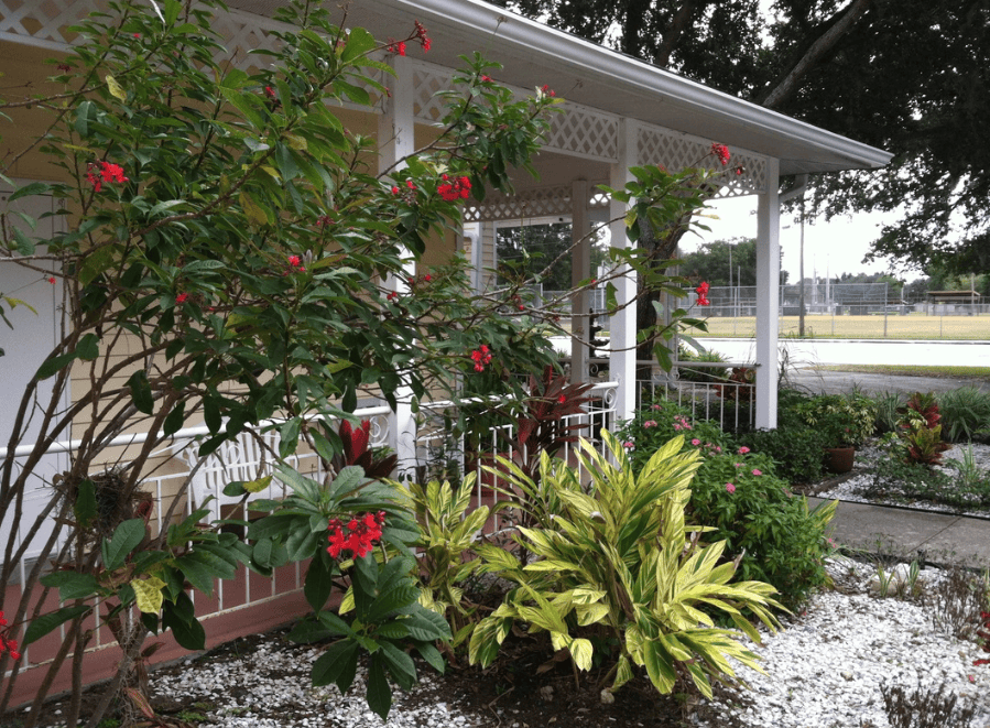 Bayou Gardens Dunedin ALF