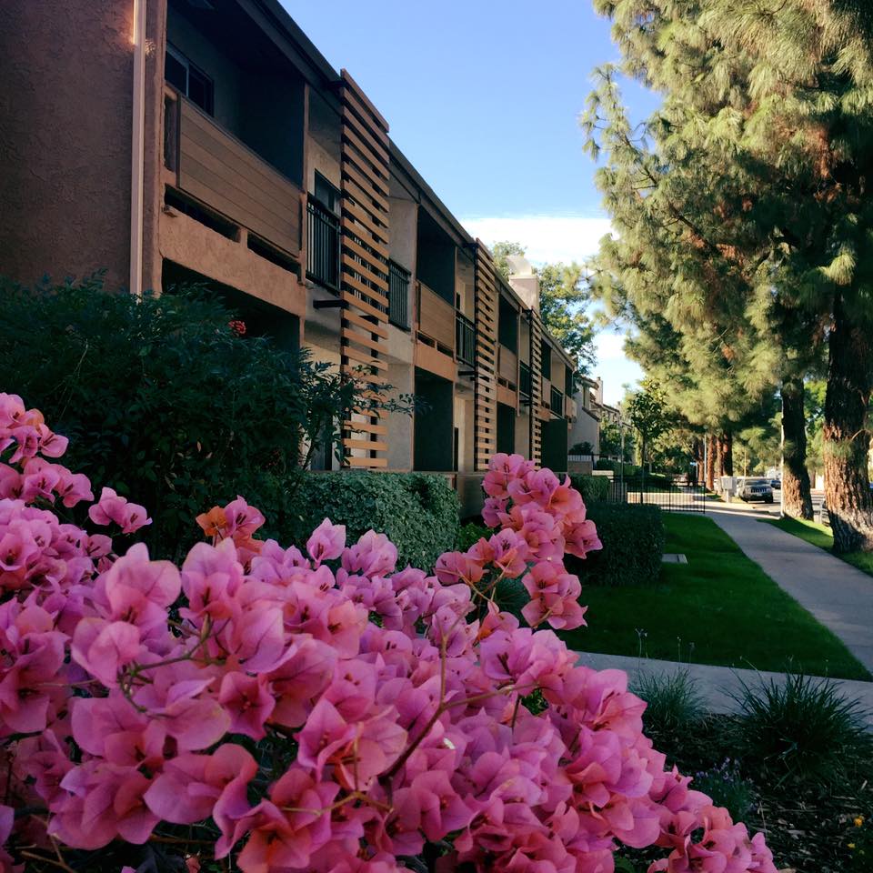 Canyon Trails Assisted Living and Memory Care Canyon Trails Assisted Living and Memory Care