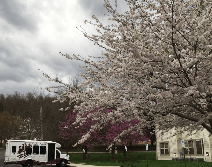 Cedar Hills Senior Living