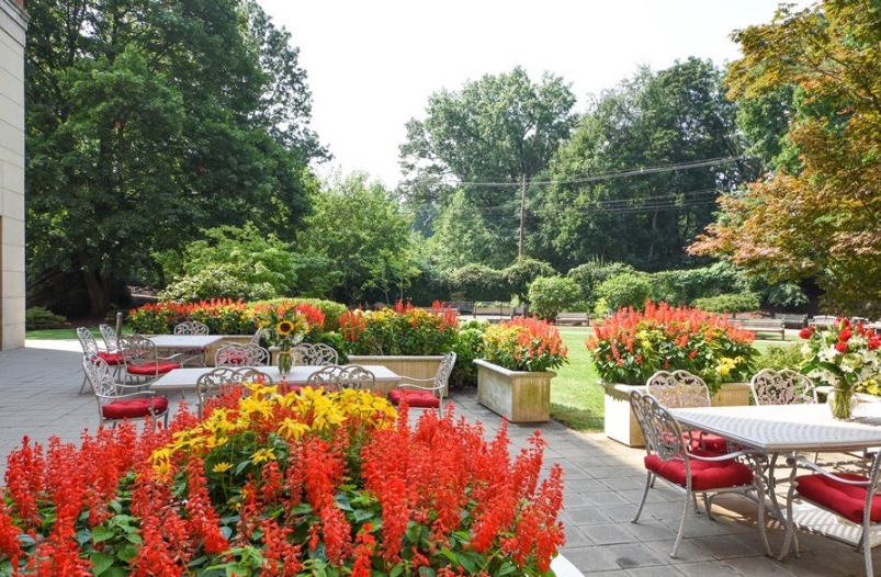Five Star Premier Residences of Yonkers Five Star Premier Residences of Yonkers