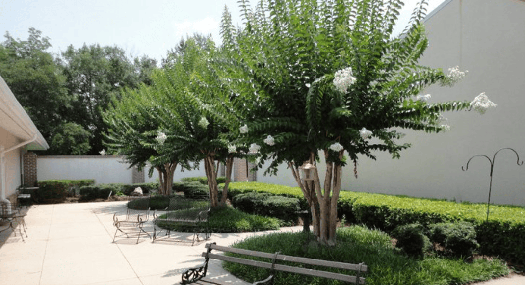 Live Oak Village Live Oak Village