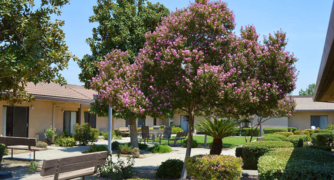Park Visalia Park Visalia