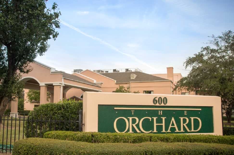 The Orchard The Orchard